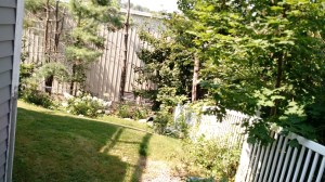 IMG_20150818_110858701